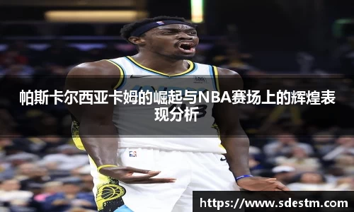 sunbet申搏官网