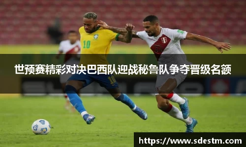 sunbet申搏