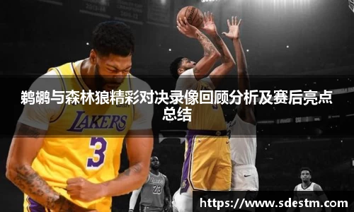 sunbet申搏官网