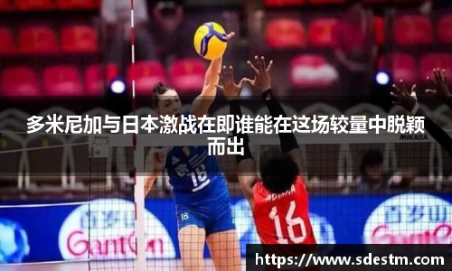 sunbet申搏官网
