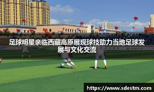 sunbet申搏官网