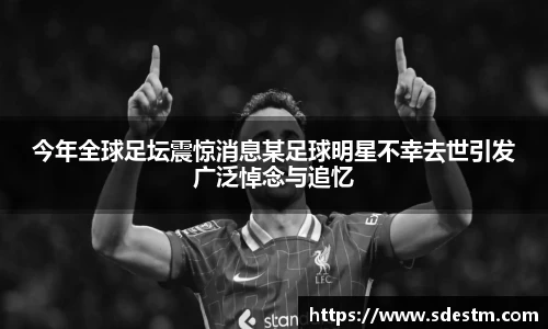 sunbet申搏官网