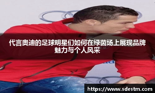 sunbet申搏官网