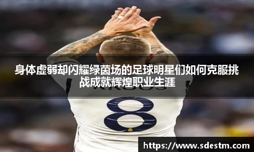 sunbet申搏官网